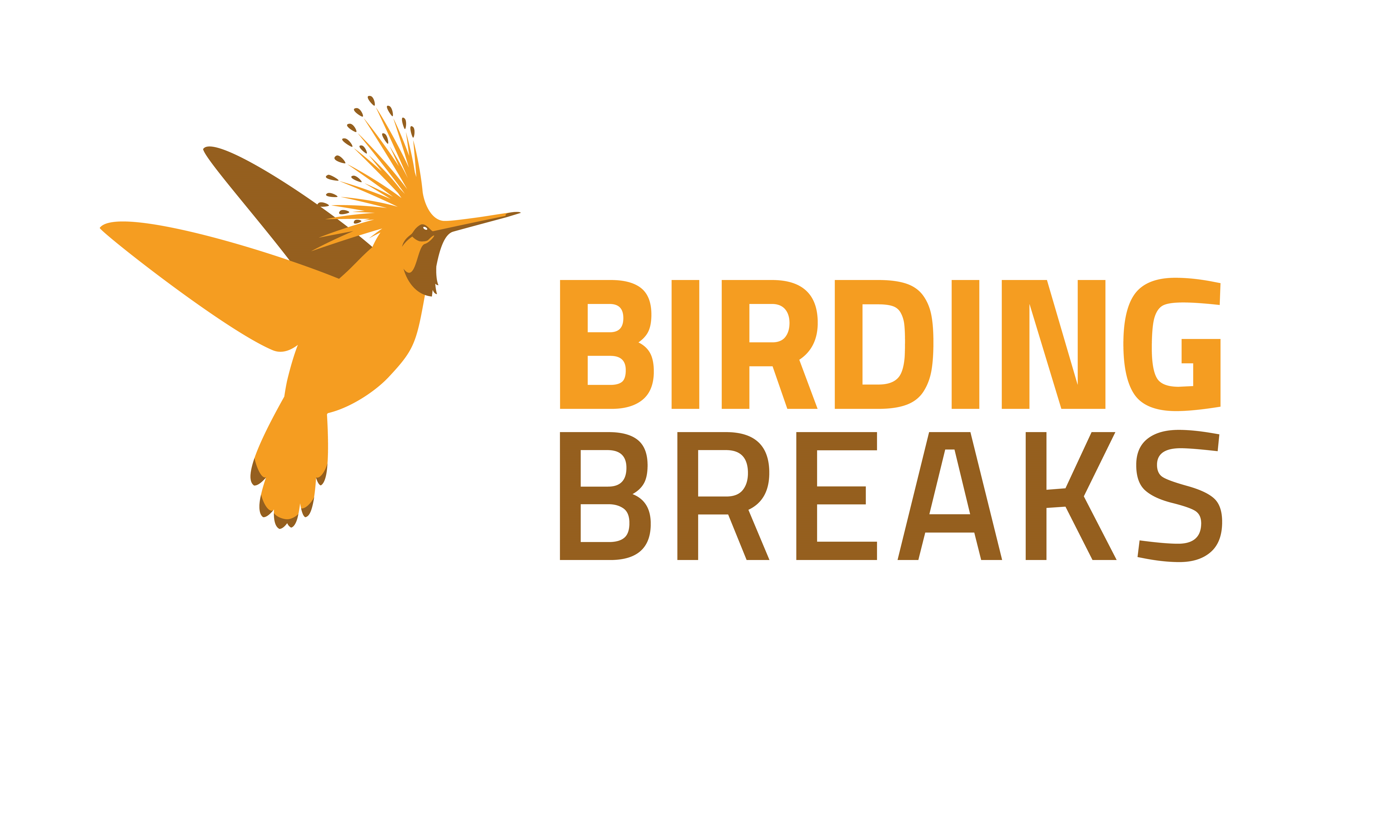 (c) Birdingbreaks.wordpress.com